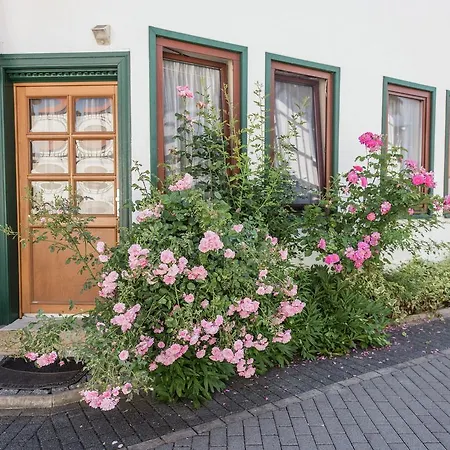 Ideal In Wurtha- Farnroda Thuringia, With Barbecue Wutha-Farnroda